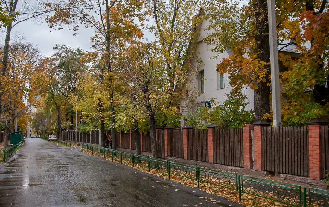 Поселок художников "Сокол" (Яндекс картинки)