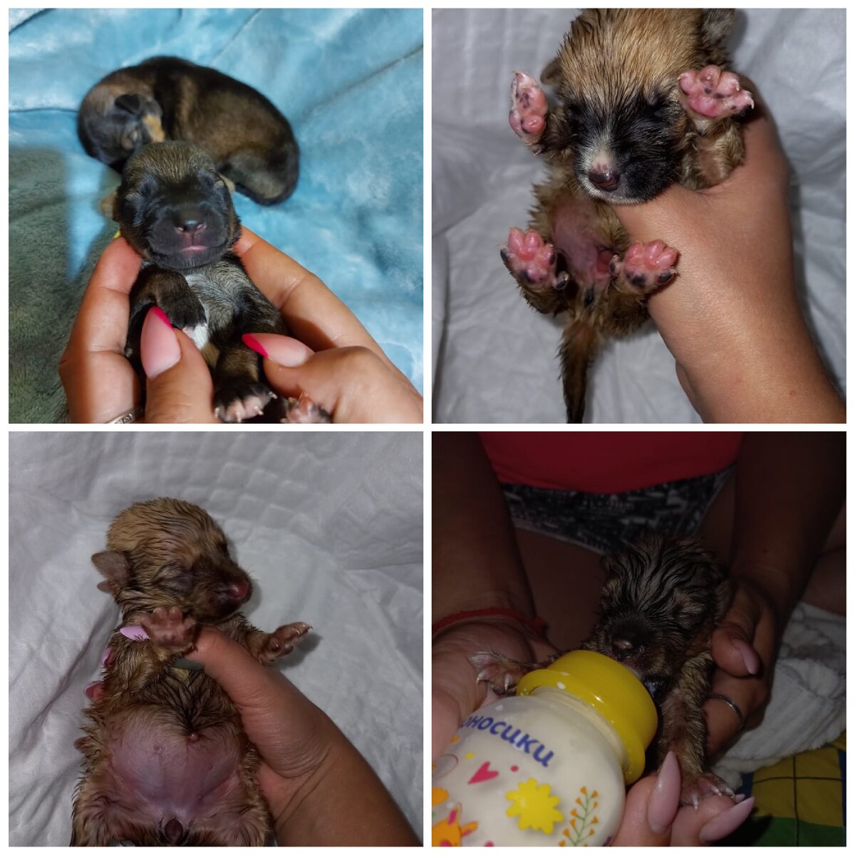 Несколько дней спустя