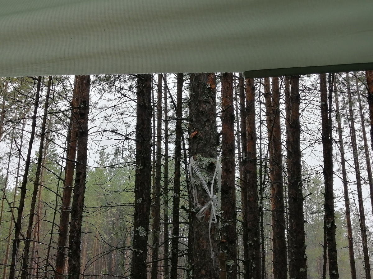 От дождя спасались под тентом, где обычно хранили лопаты, рейки и прочие инструменты