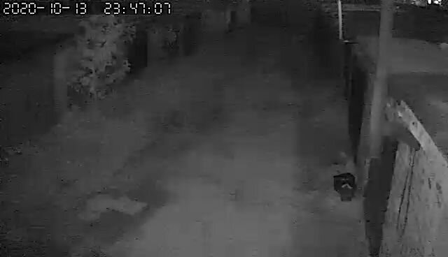 Наблюдение онлайн камера