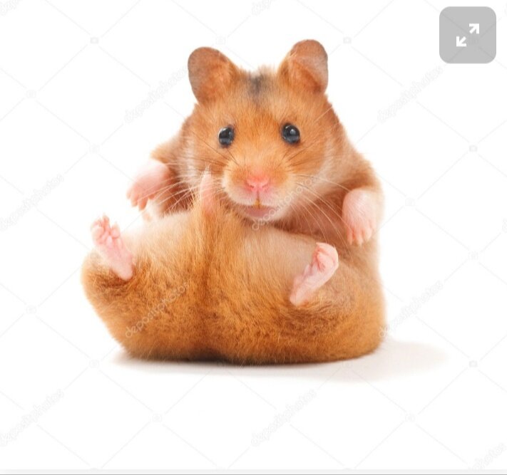 Фото с сайта depositphotos.com