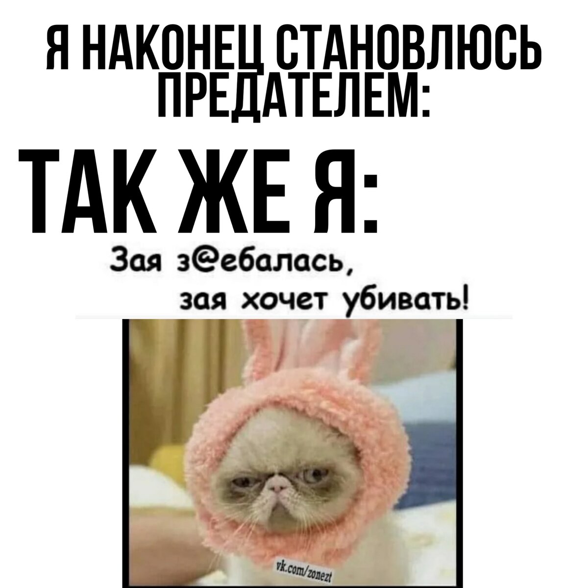 МЕМЫ