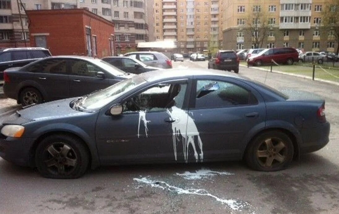 яндекс картинки