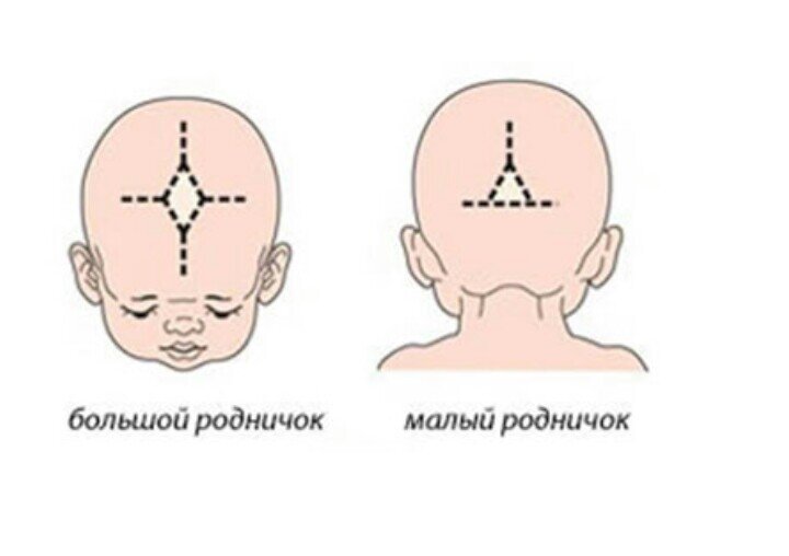 Родничок пульсирует, это нормально? Форум