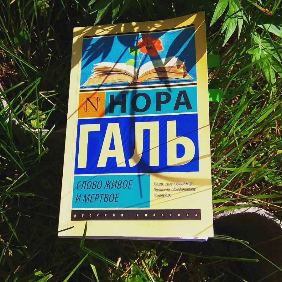 личное фото автора