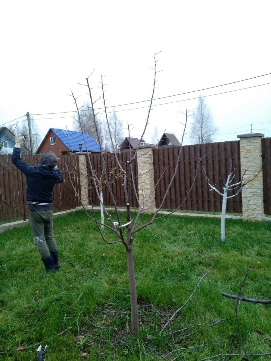 Фотография и работа автора 