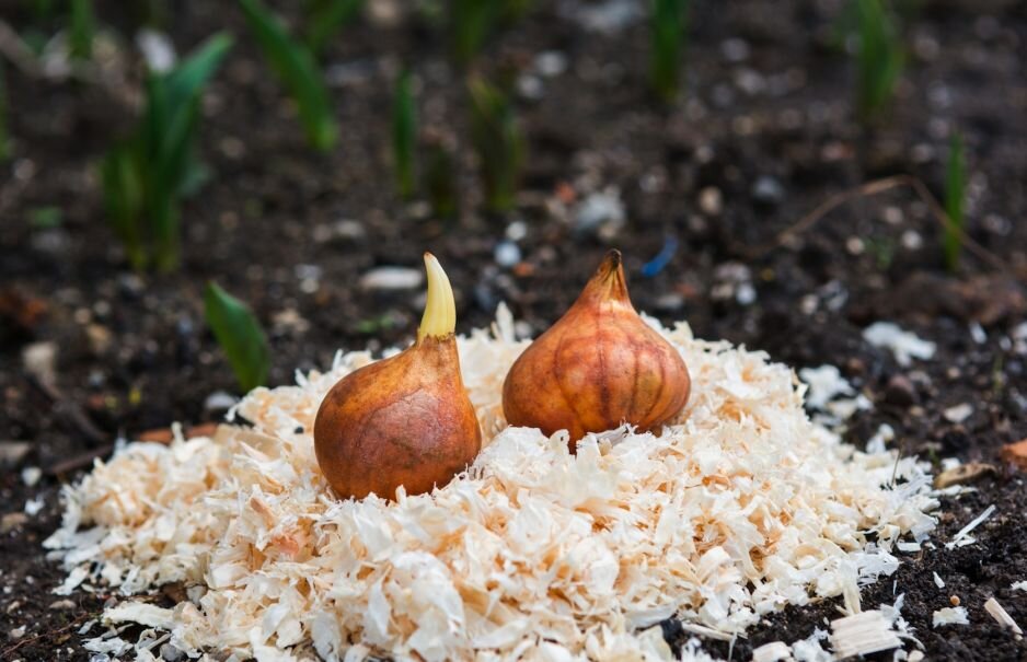 яндекс картинки