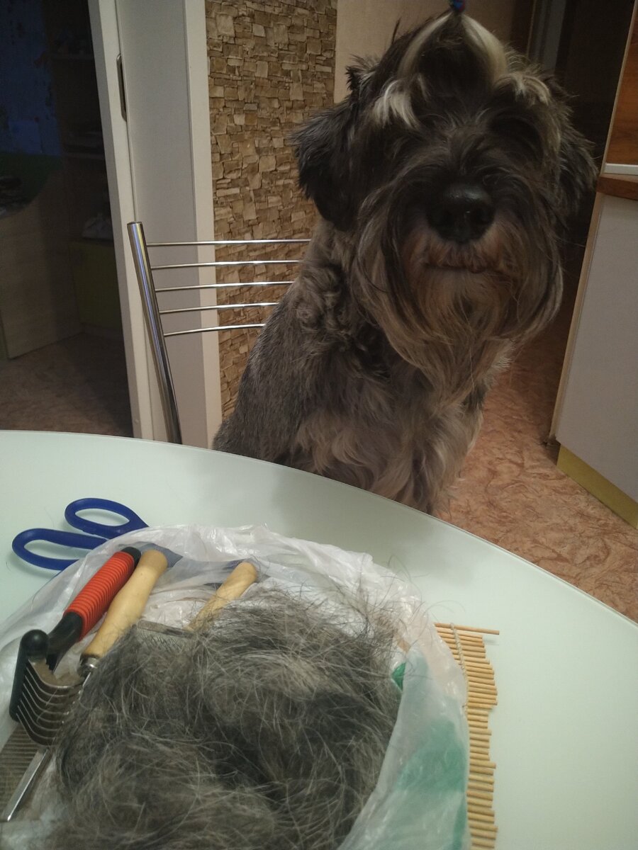 Знакомьтесь, это Прометей ♥️