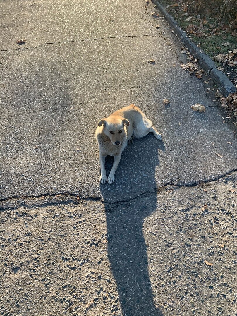 вы просто посмотрите на эти грустные глазки