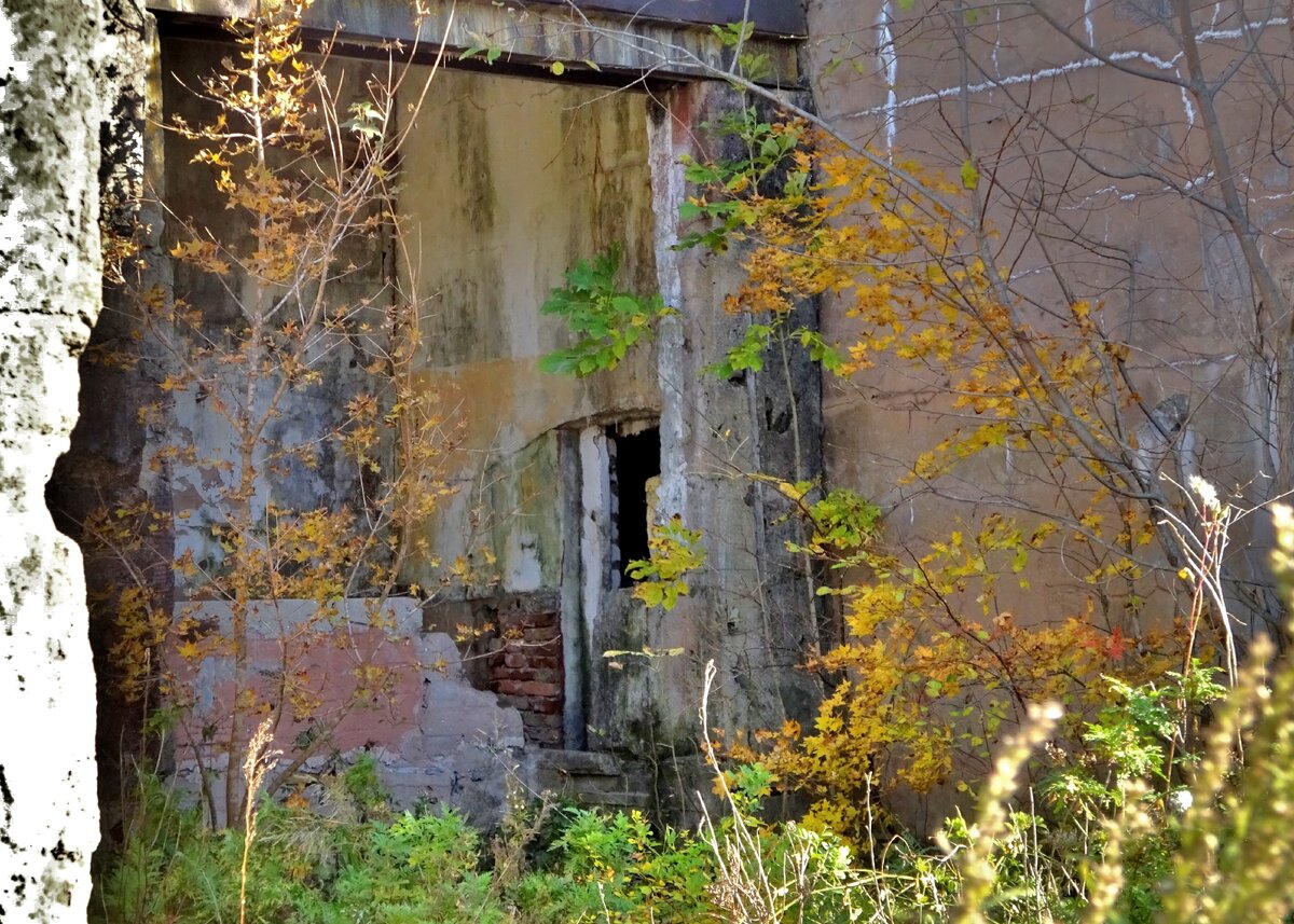 Убежище противоштурмовых пушек