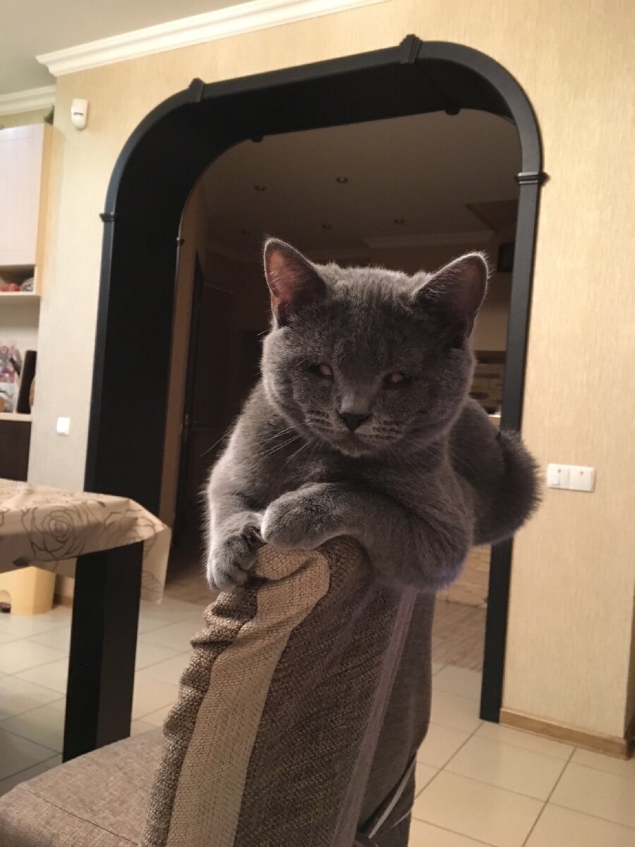 Николай Гвоздев