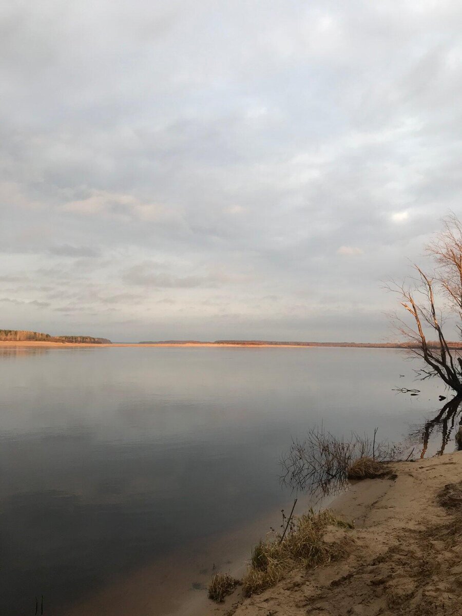 фото автора река Вычегда