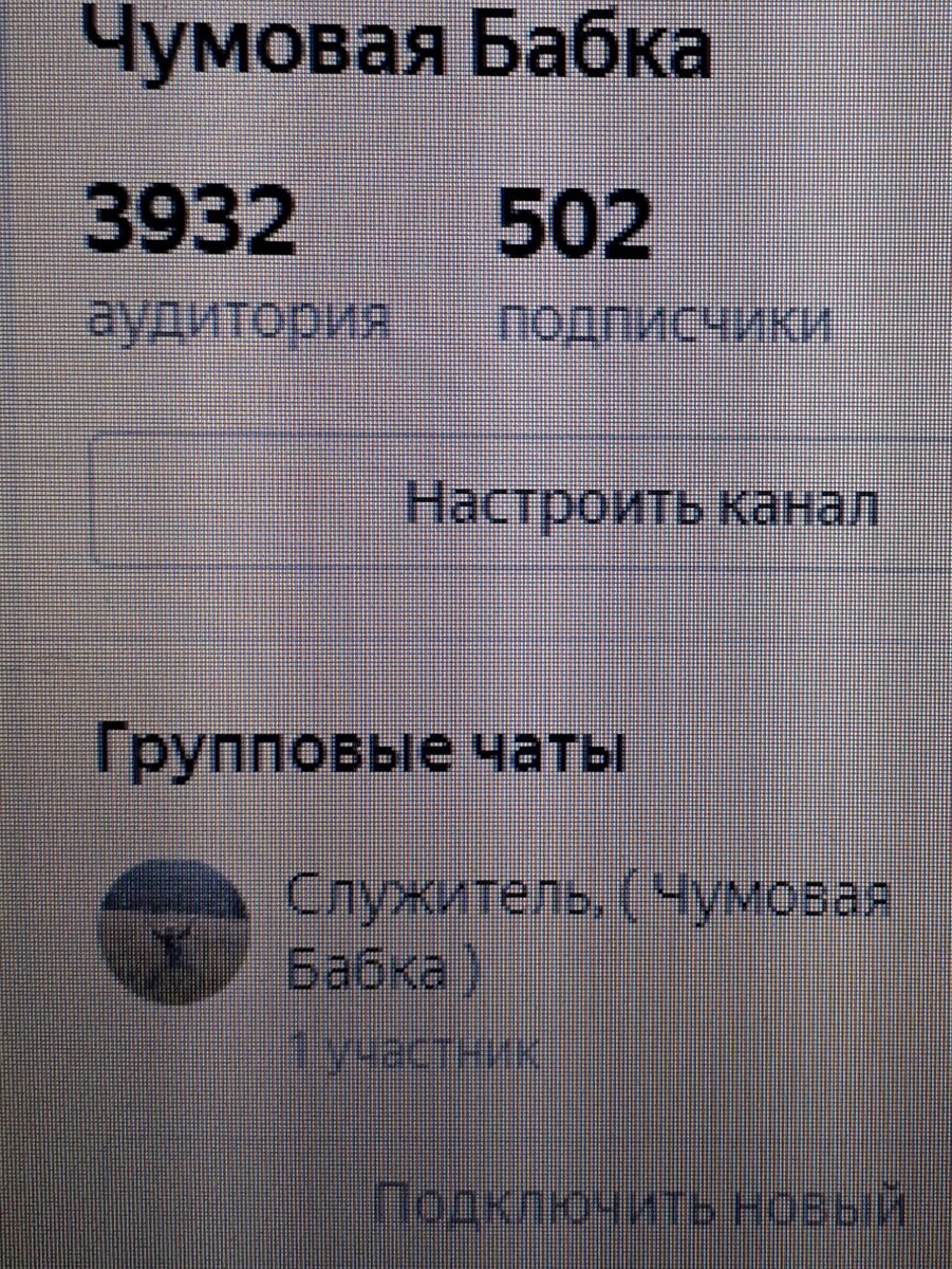 Фото   автора. ВЧЕРА  ВЕЧЕРОМ   8.11.2020   ПОДПИСЧИКОВ  БЫЛО   499, А СЕГОДНЯ   С   УТРА,  РАДОСТЬ  -   ПОРОГ   ПРОЙДЕН!!!