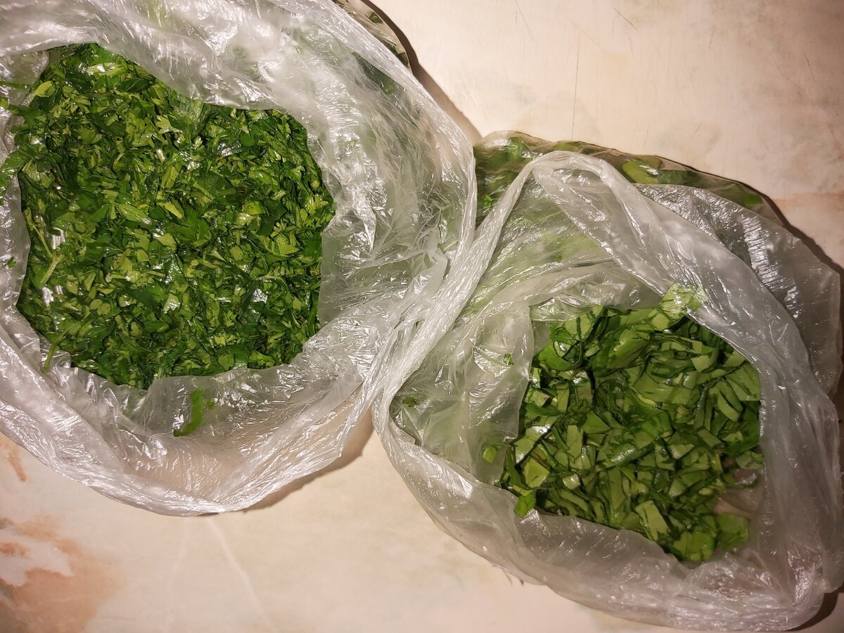 На фото петрушка и мой любимый щавель для зеленого борща.