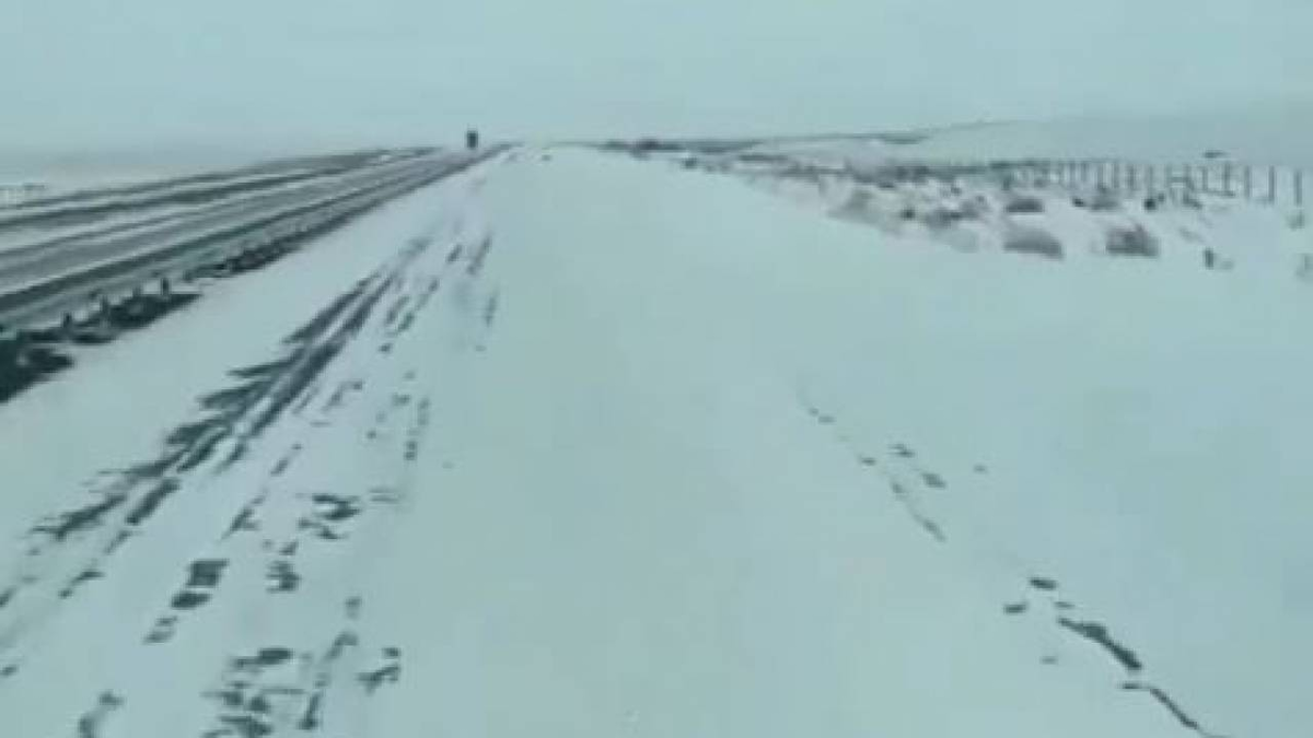 Дорога Нурсултан - Павлодар.