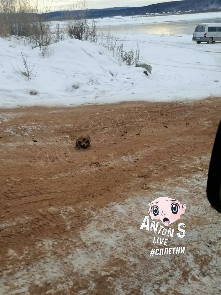 Властями это никак не комментируется 