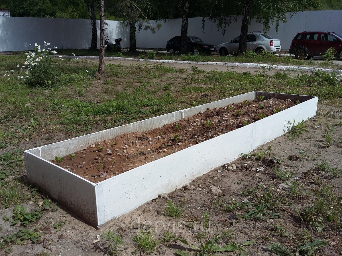 Грядки из цсп своими руками