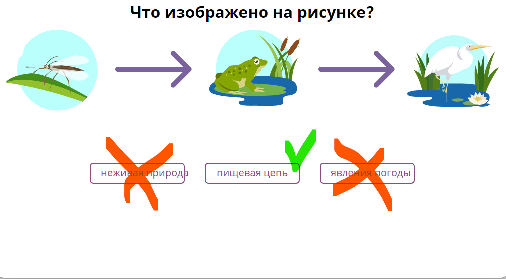 Правильный ответ.