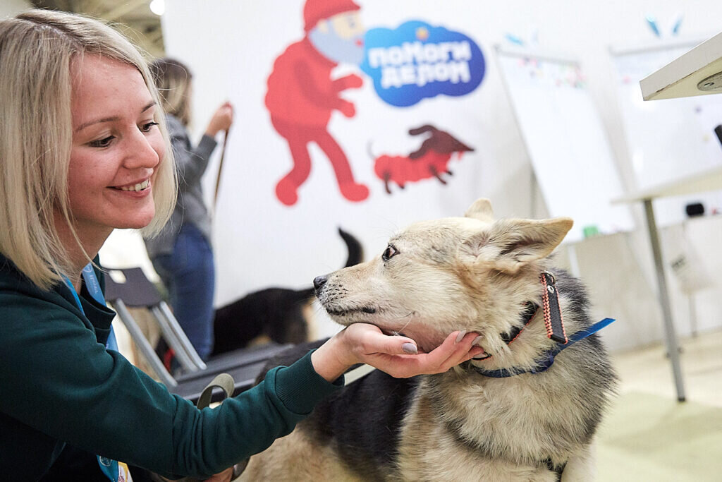 Фото предоставлено проектом Душевный Bazar