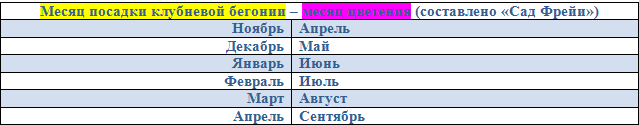 За дату посева в каждом месяце я взяла 12 число