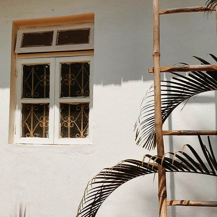 фото с солнечного гоа