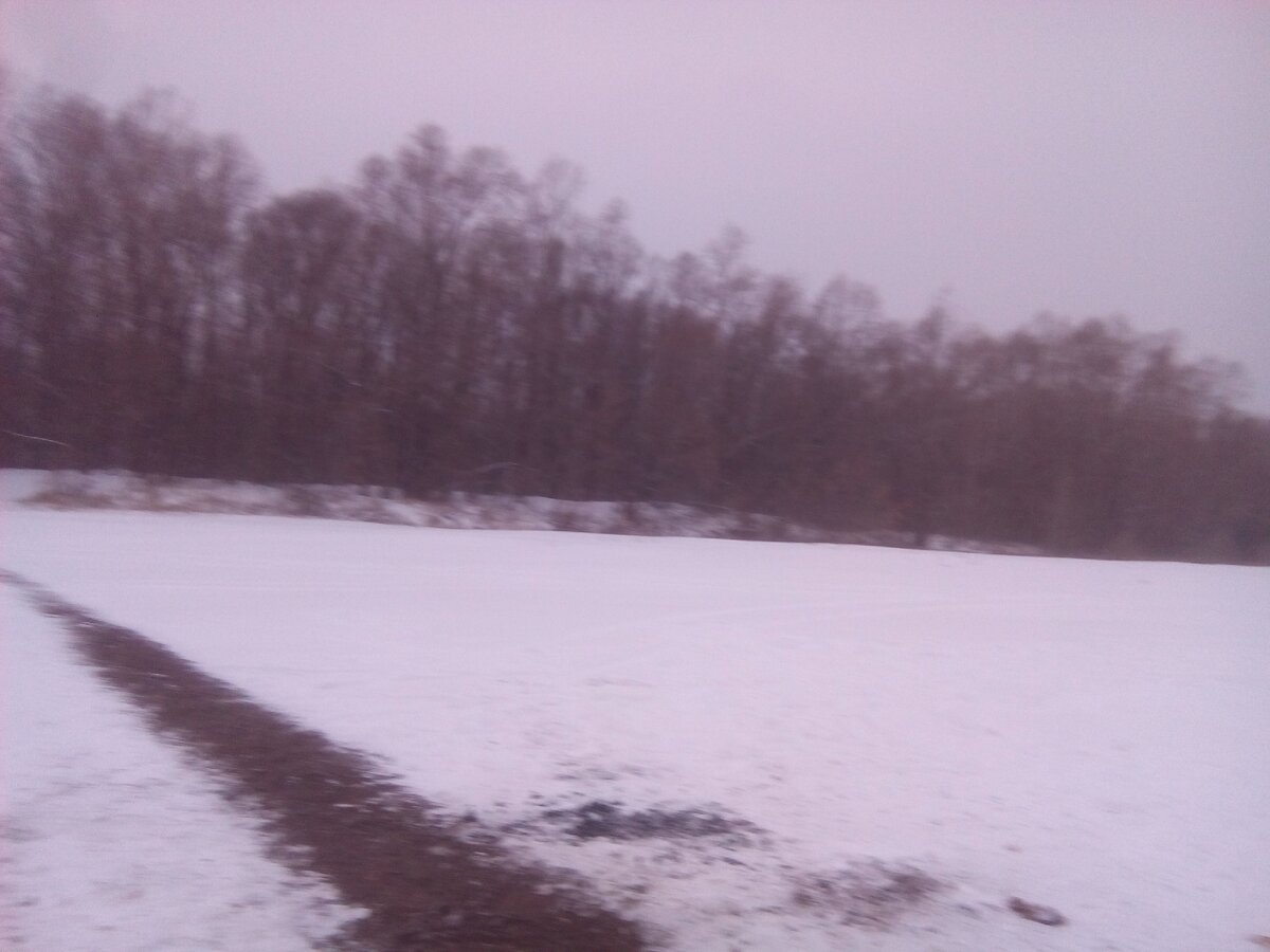 личное фото