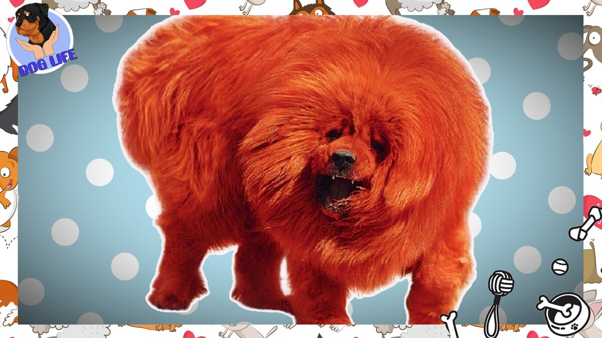 Ставьте лайк, будет интересно!