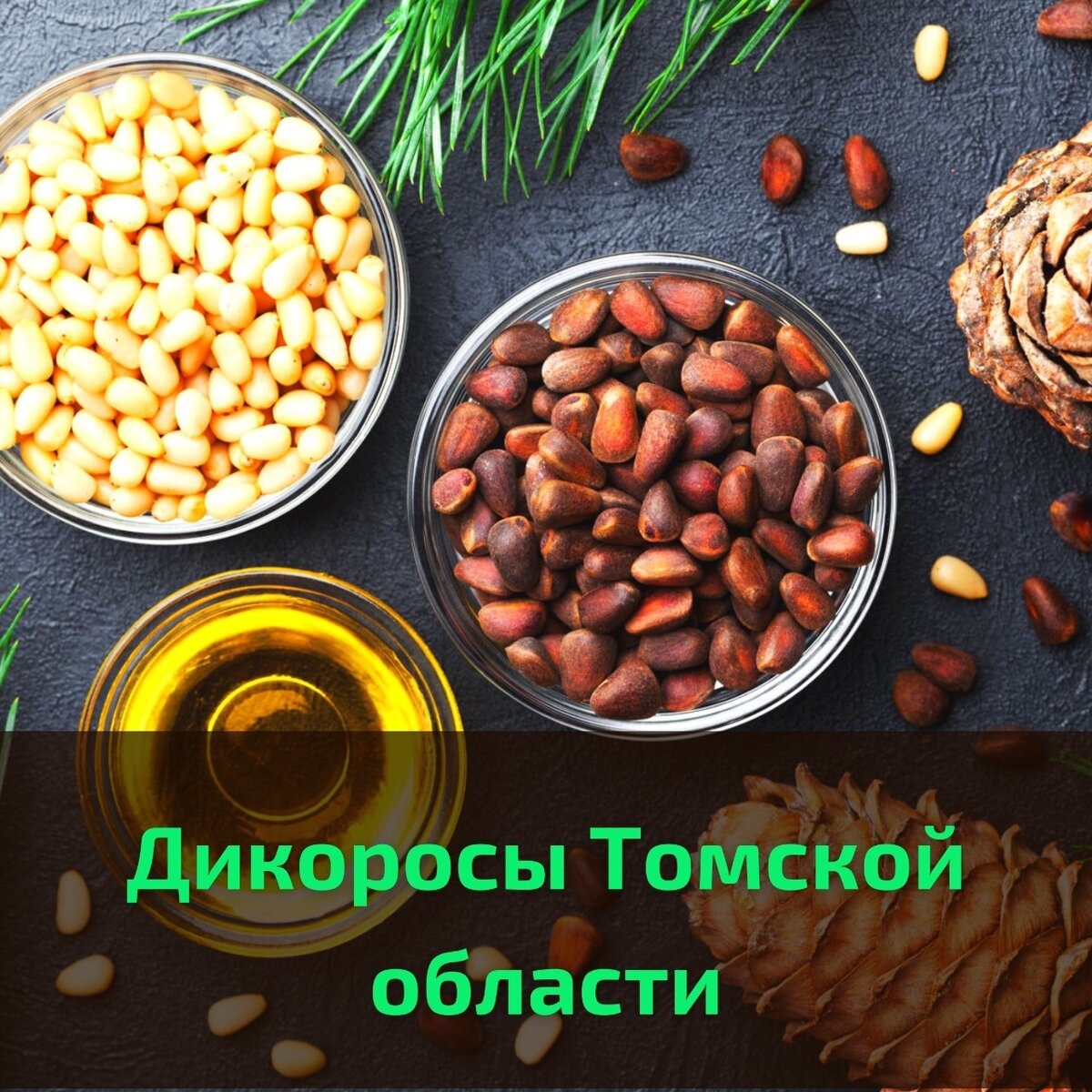 Где купить продукцию с томскими дикоросами? | Туризм в Томской области |  Дзен