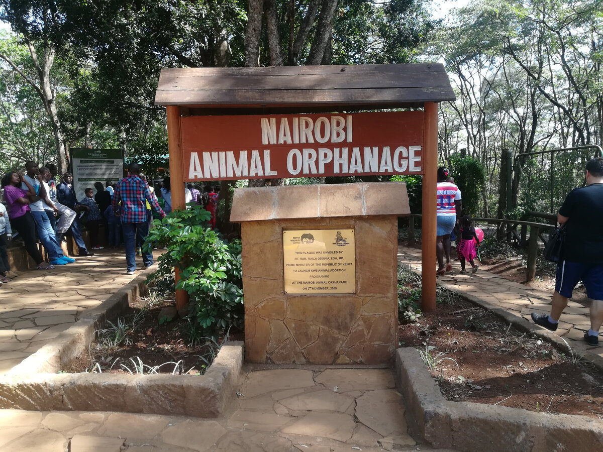 Парк животных национального парка Найроби, фото из личного архива