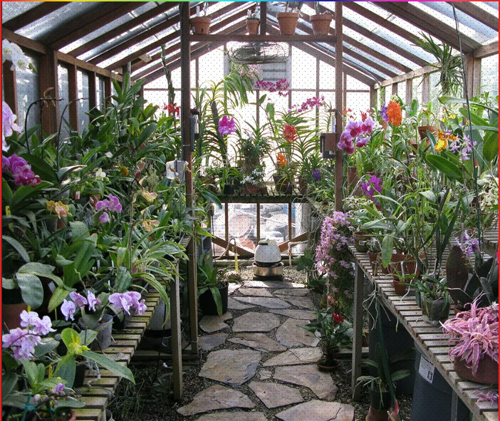 Для комнатных цветов это просто рай.