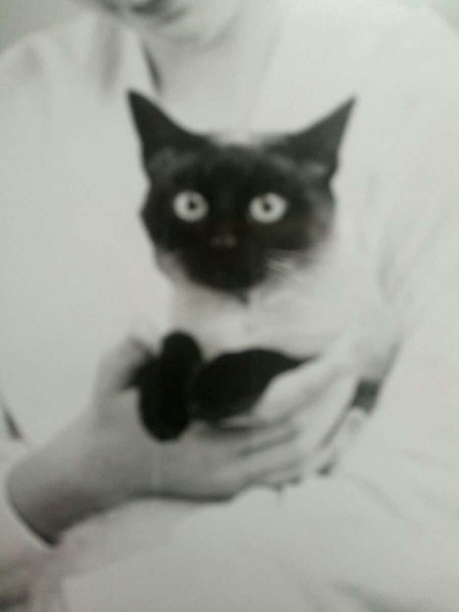 Сима (Симона). Раритетная фотография моего детства)