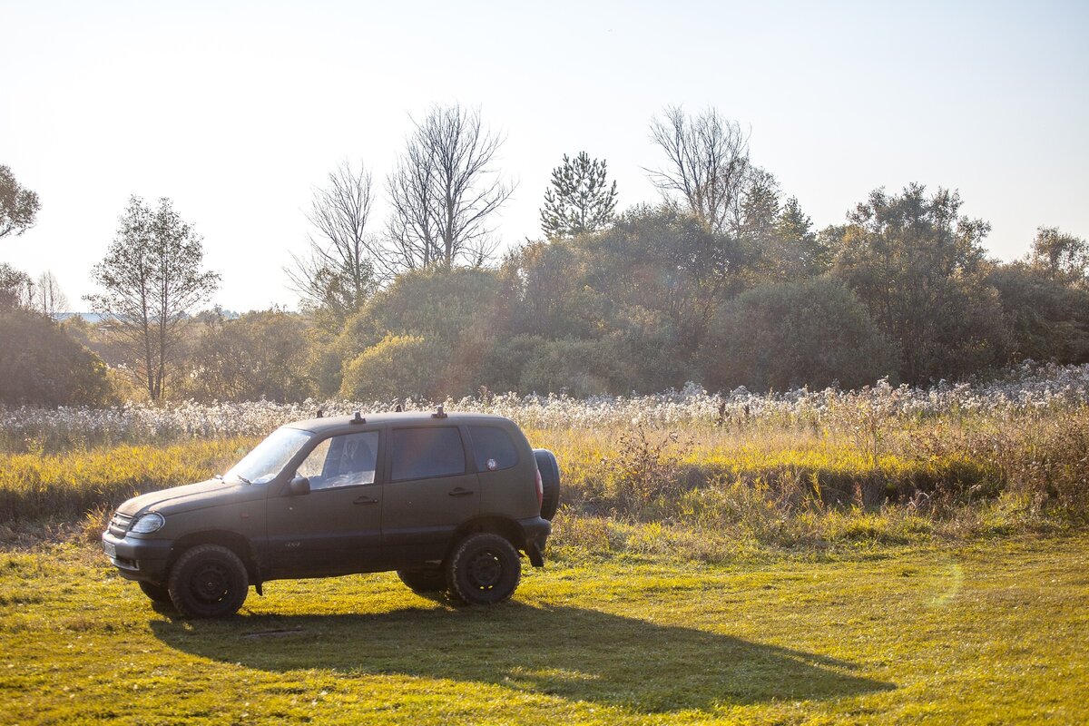 Что выбрать, Ниву или Шевроле ниву? | Дорога домой | Дзен
