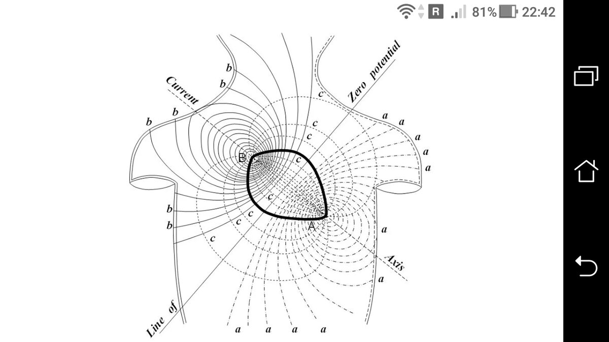 фото Сердечные каналы - открытие электромагнитных сердечных полей в 4D