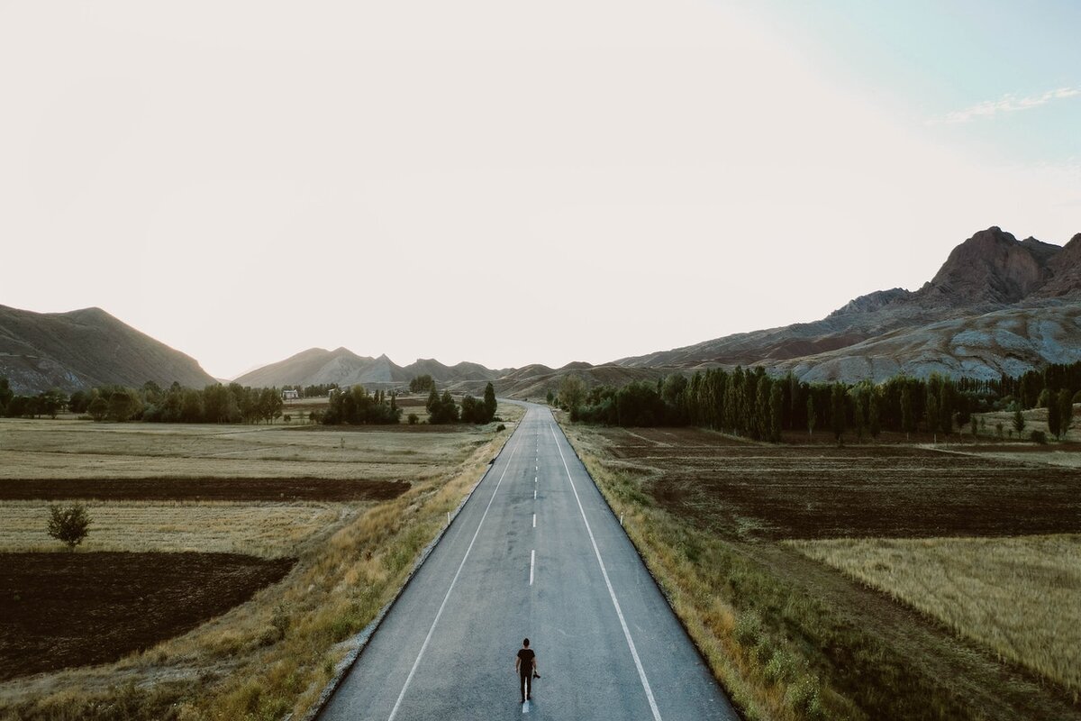 Путь дорога 5. Уникальный путь. Жизненные перспективы 1979. The Road to Monticello. The Road to the Estate picture.