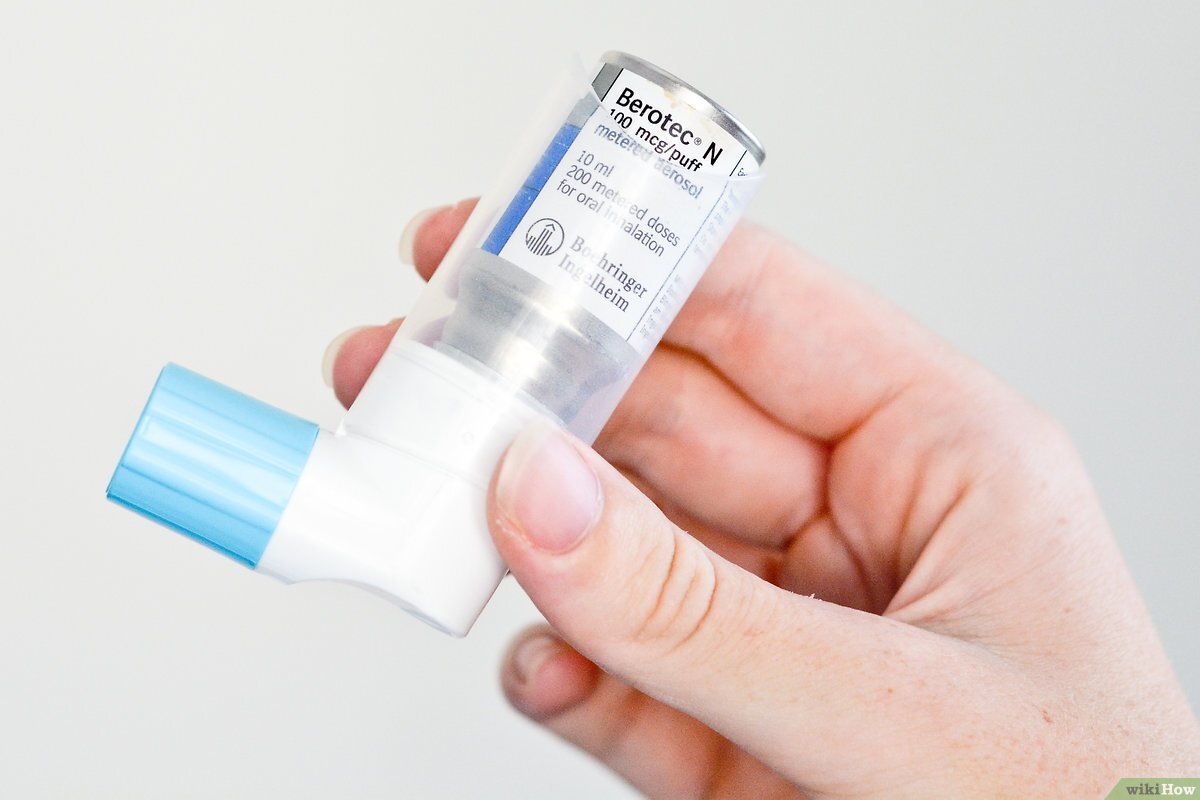 фото из яндекса