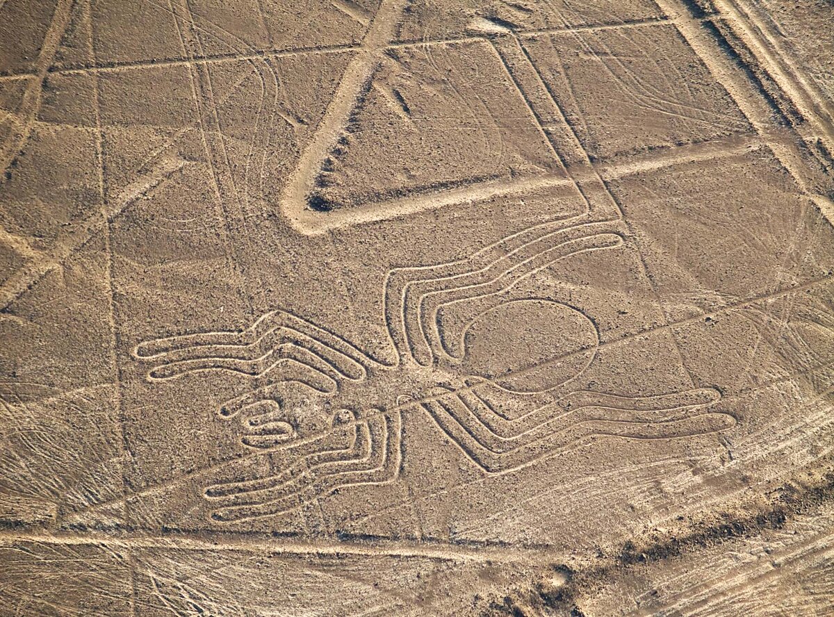 Рисунки наски в пустыне