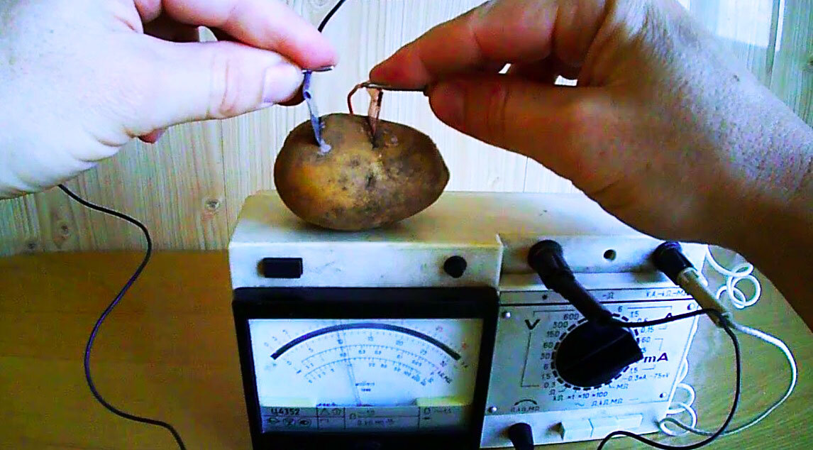 Батарейка из картошки или яблок | Пикабу