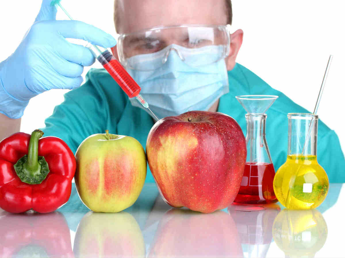 Яндекс. Картинки