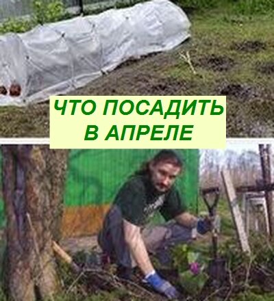  посадки в апреле