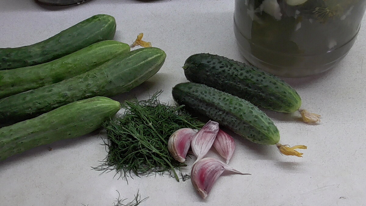 Очень важно понимать - для каких целей вы будете выращивать свои огурцы, будете употреблять их в свежем виде или консервировать?