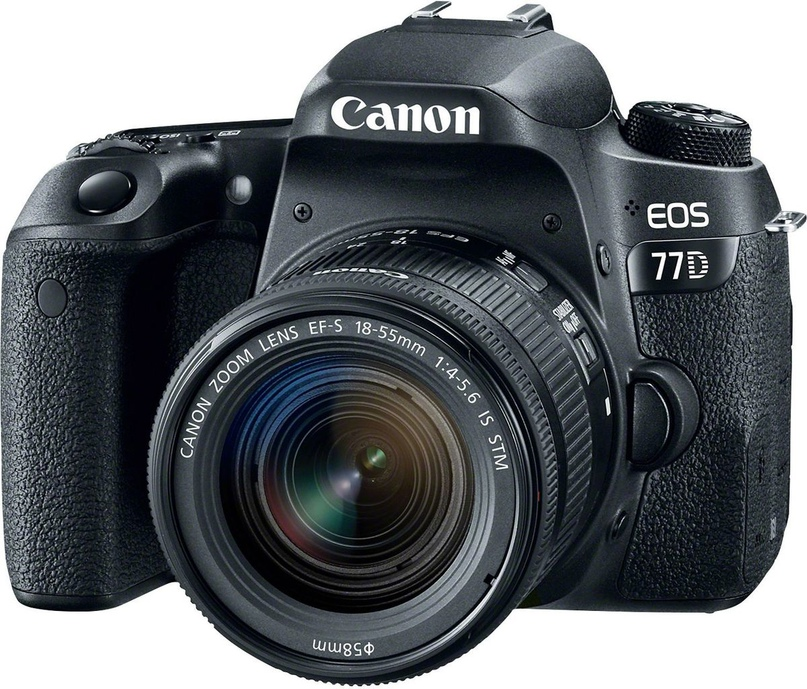 Большинство современных камер Canon обладают технологией фокусировки Dual Pixel AF. 