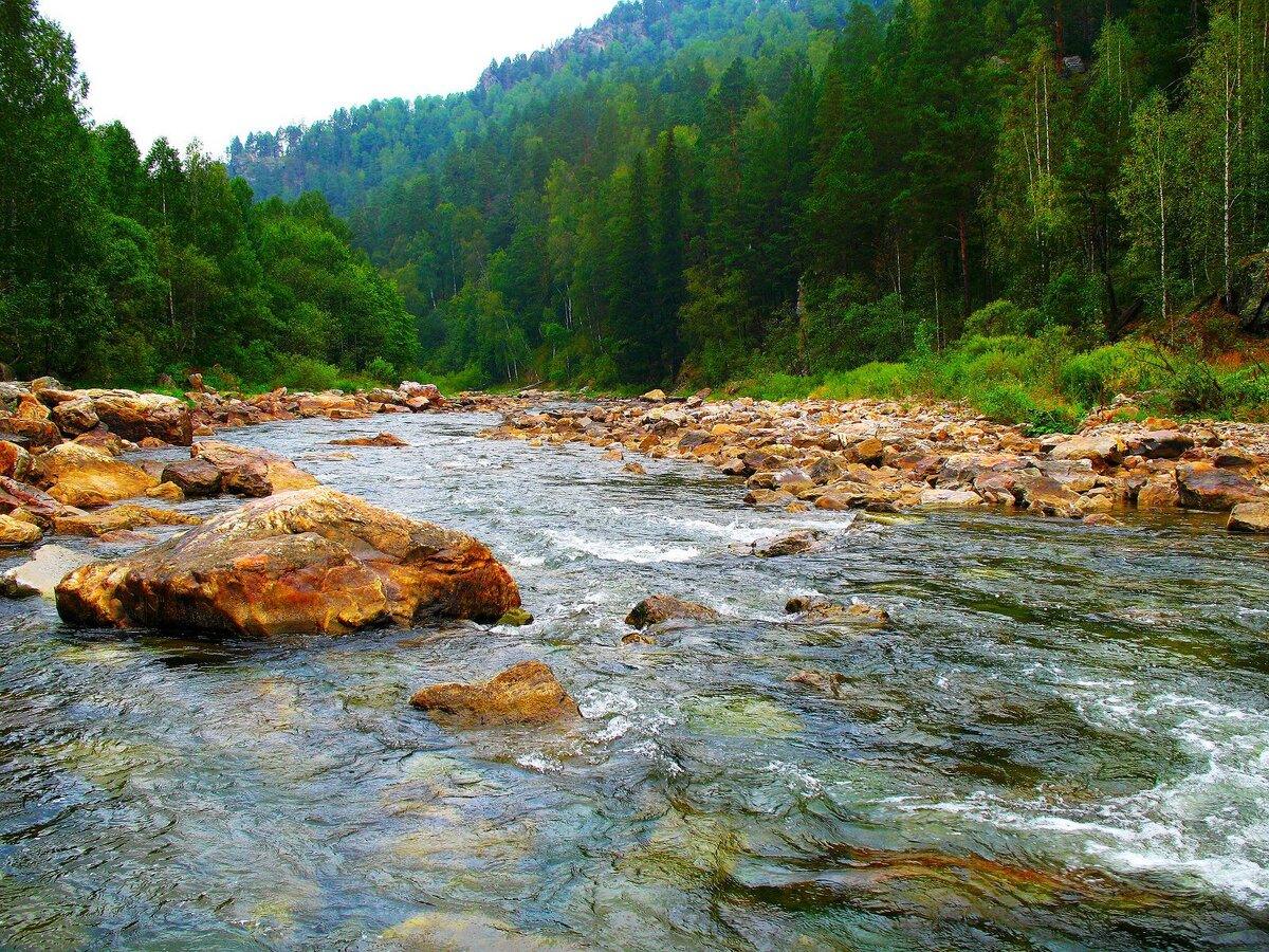 Какие реки фото Открытие сезона. Сплав по реке Большой Инзер. Станция туризма "GoRa" Дзен