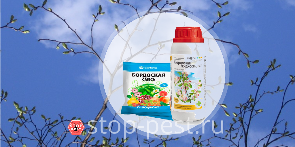 фото сайта https://stop-pest.ru