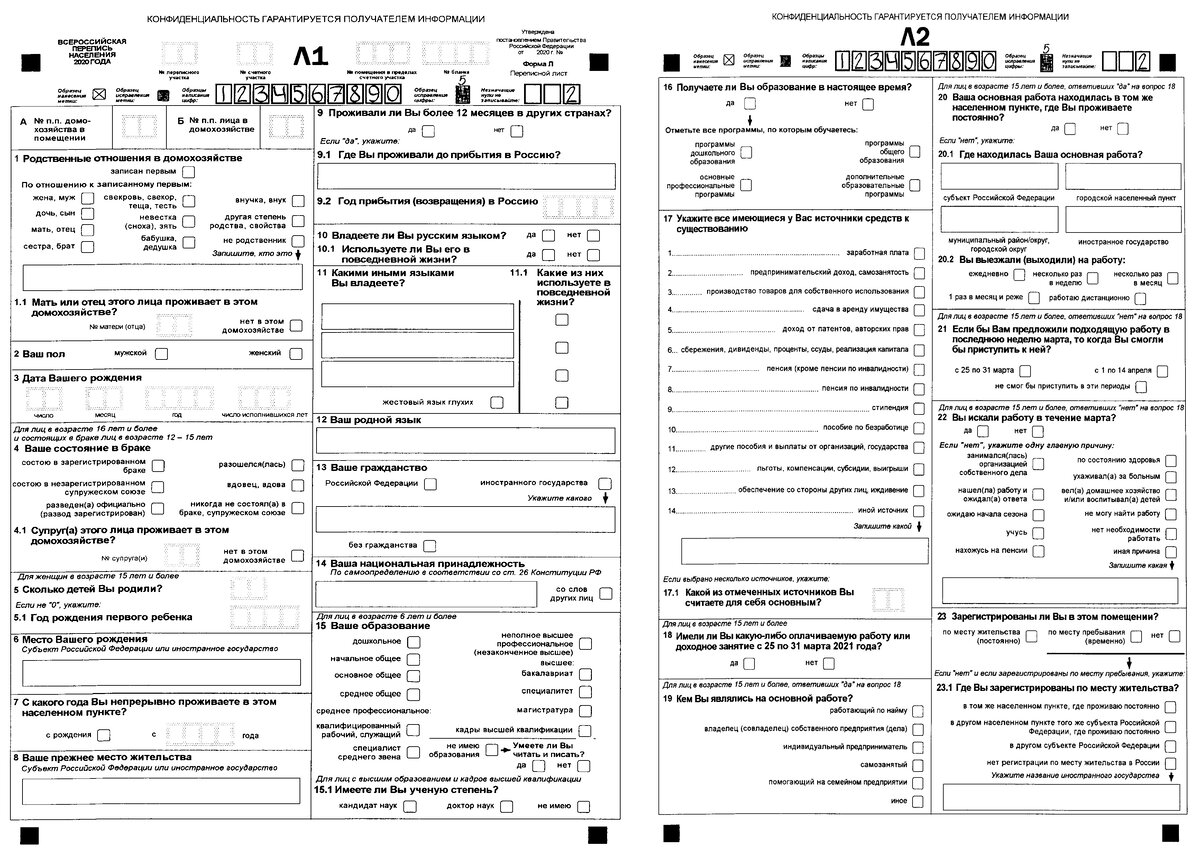 Образец переписного листа. Источник: strana2020.ru