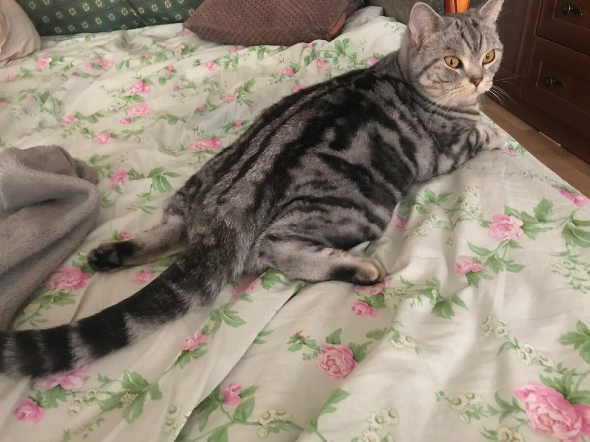 Только покушал.