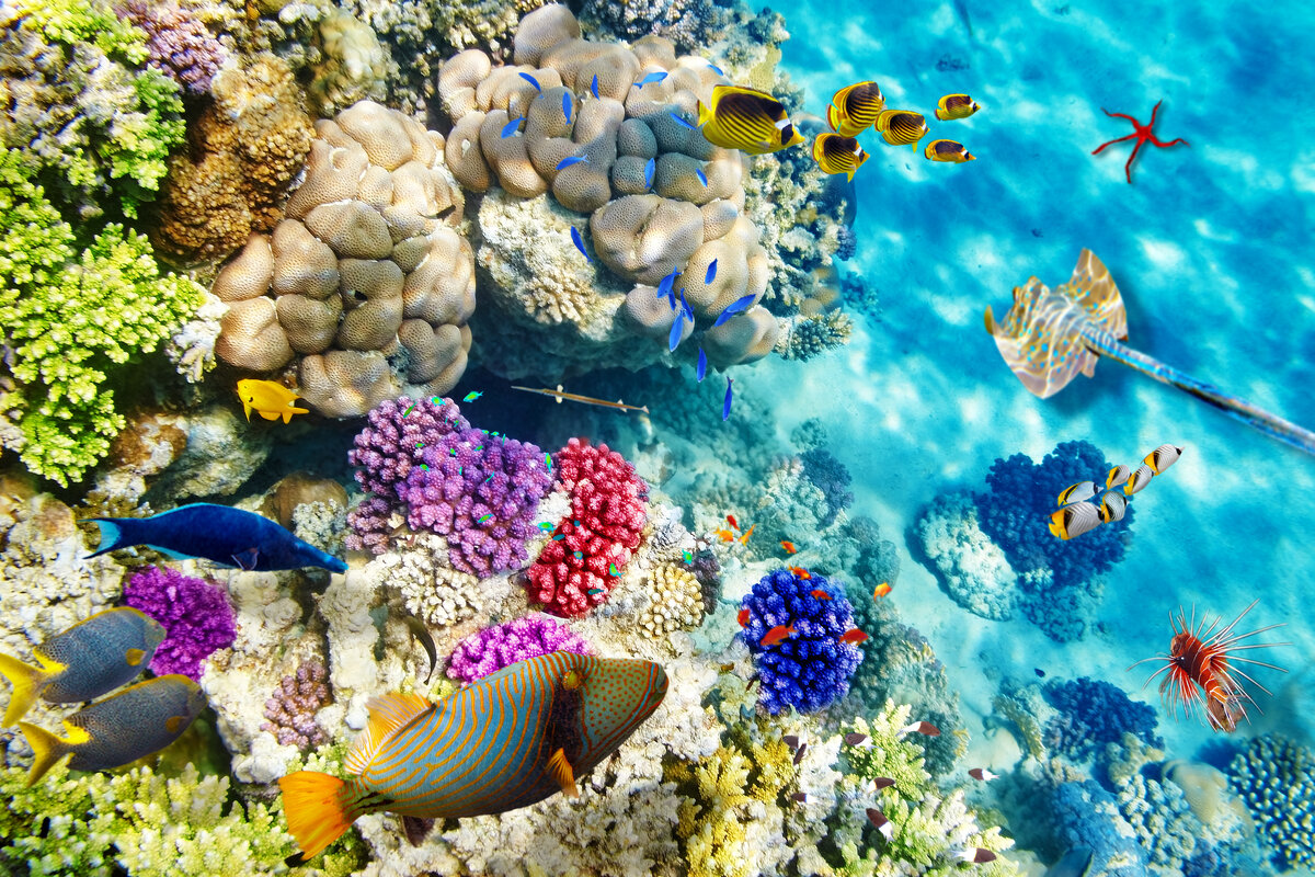 Фото: Shutterstock