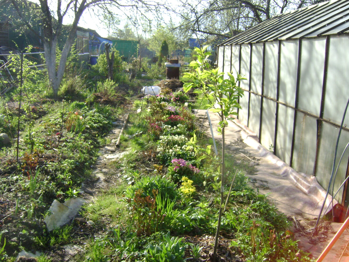 фото Анны Карбо