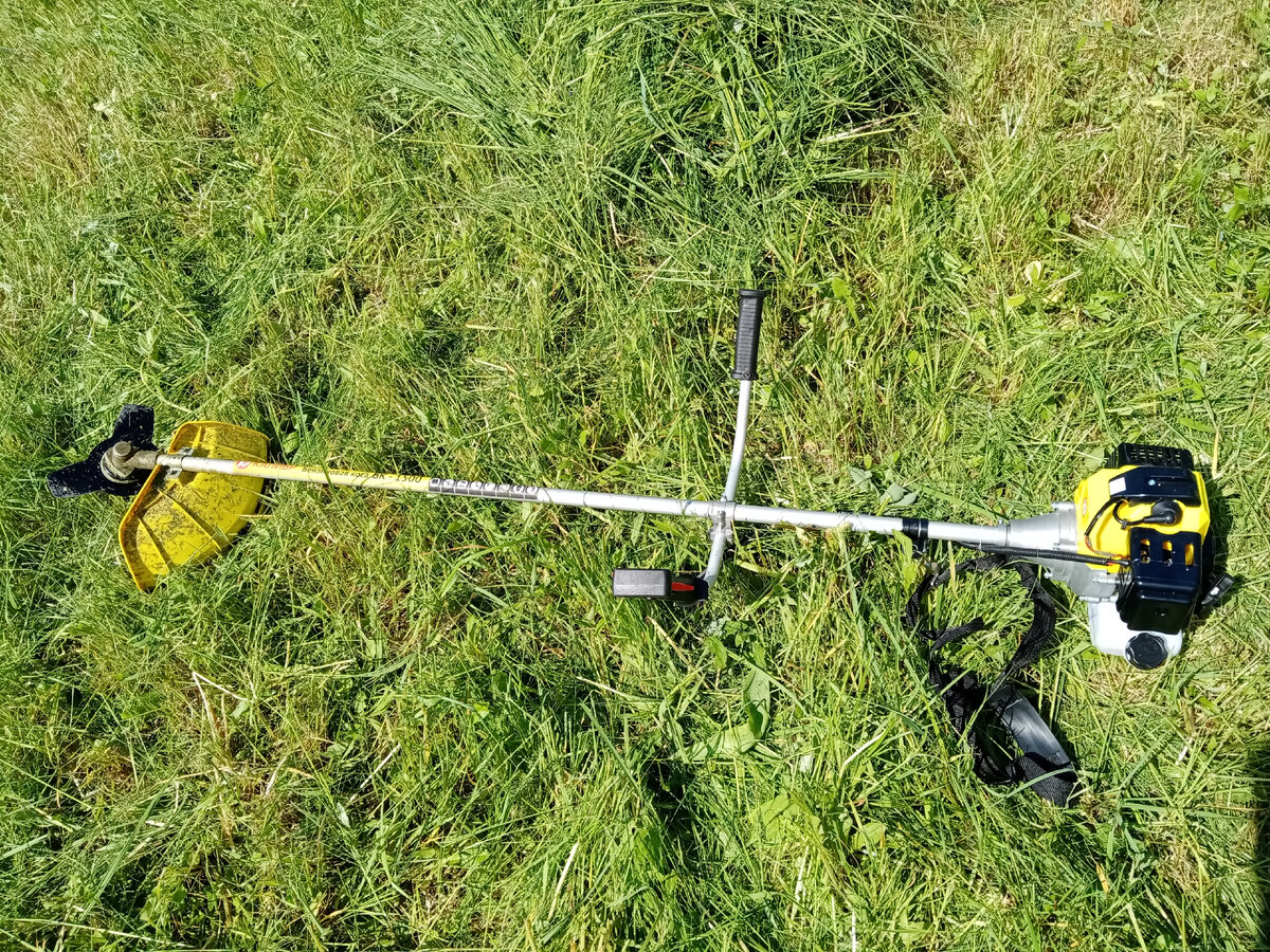 Личное фото автора канала 