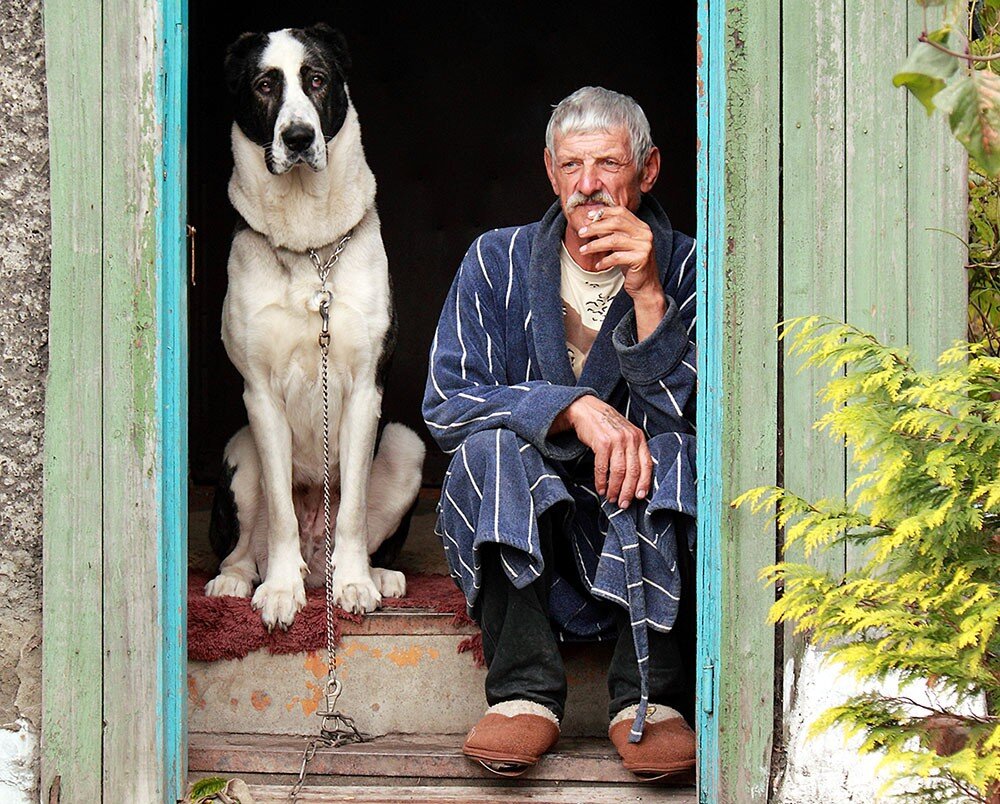 Фото с просторов интернета