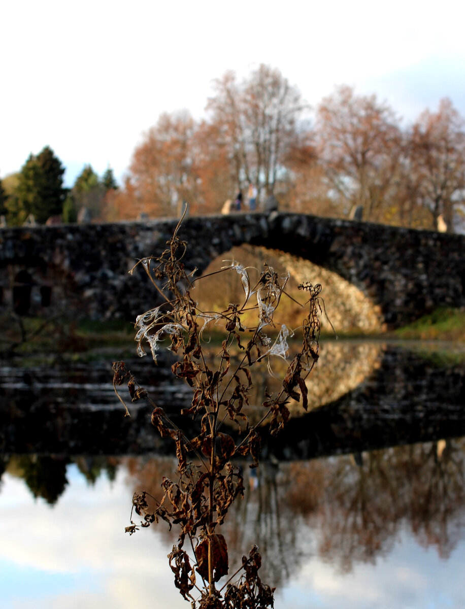 фото сделано в усадьбе "Василёво"